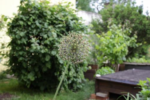 IMG 7351